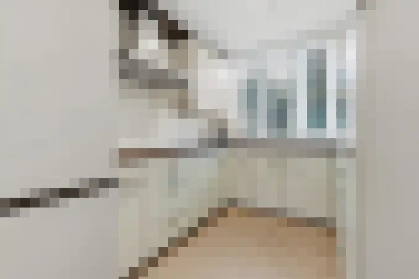 Cor Spaanslaan 66 Den Haag thumbnail 26