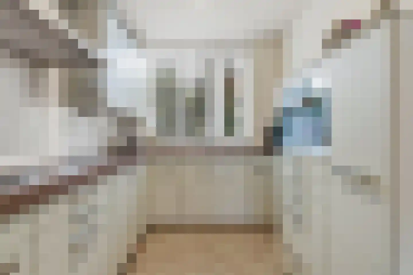 Cor Spaanslaan 66 Den Haag thumbnail 27