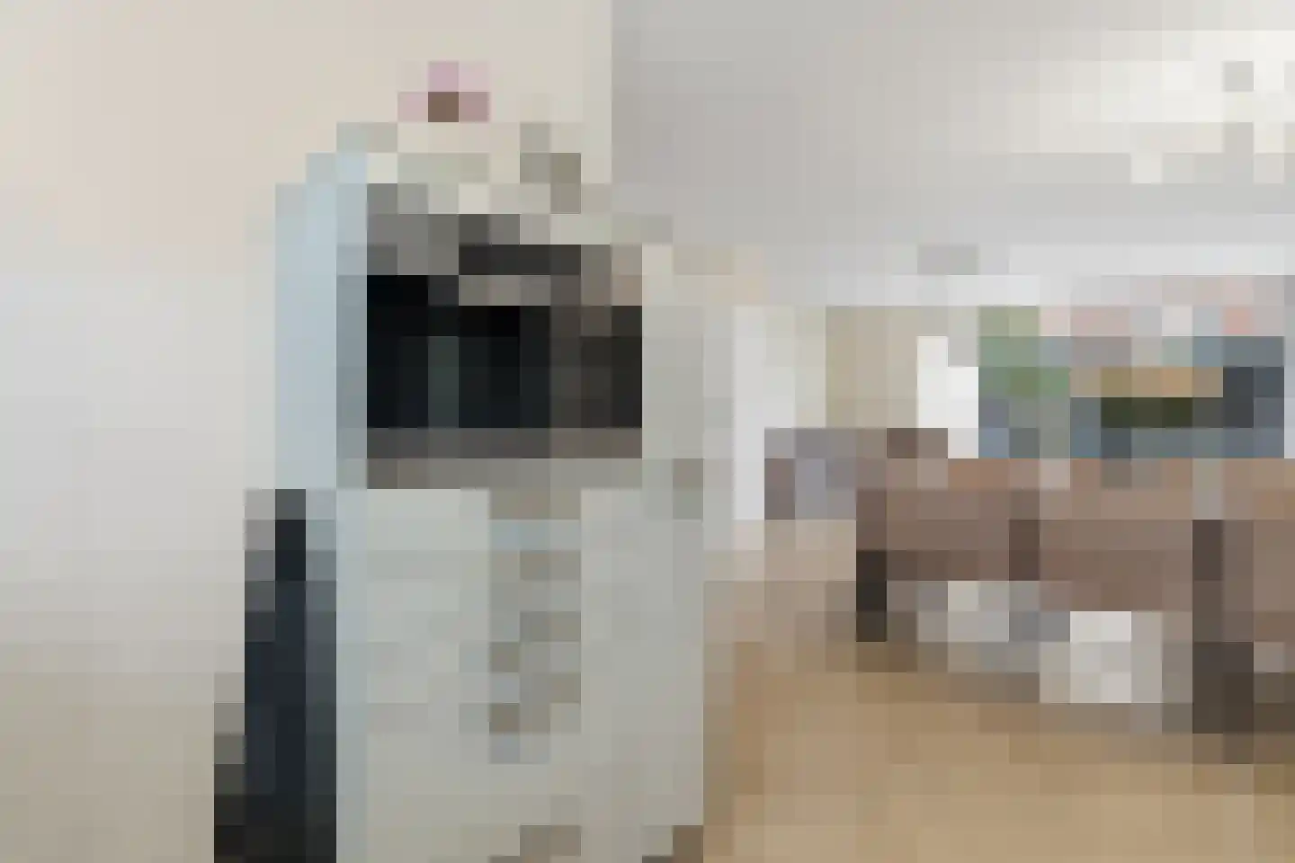 Cor Spaanslaan 66 Den Haag thumbnail 31