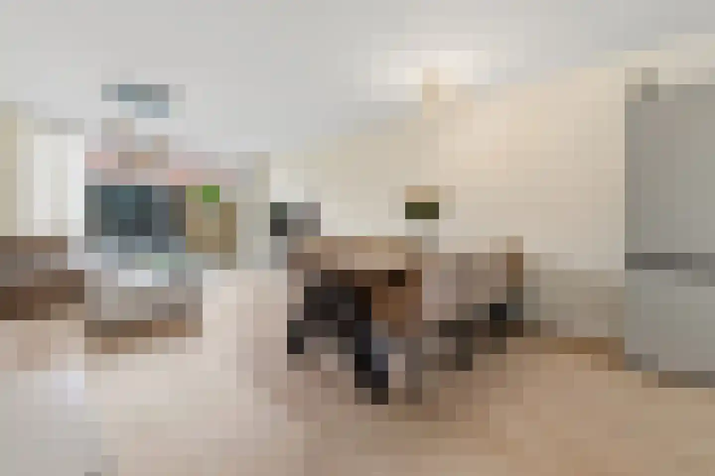 Cor Spaanslaan 66 Den Haag thumbnail 7