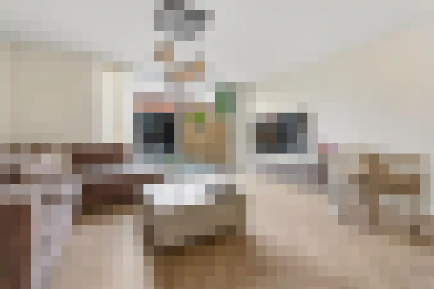Cor Spaanslaan 66 Den Haag thumbnail 8