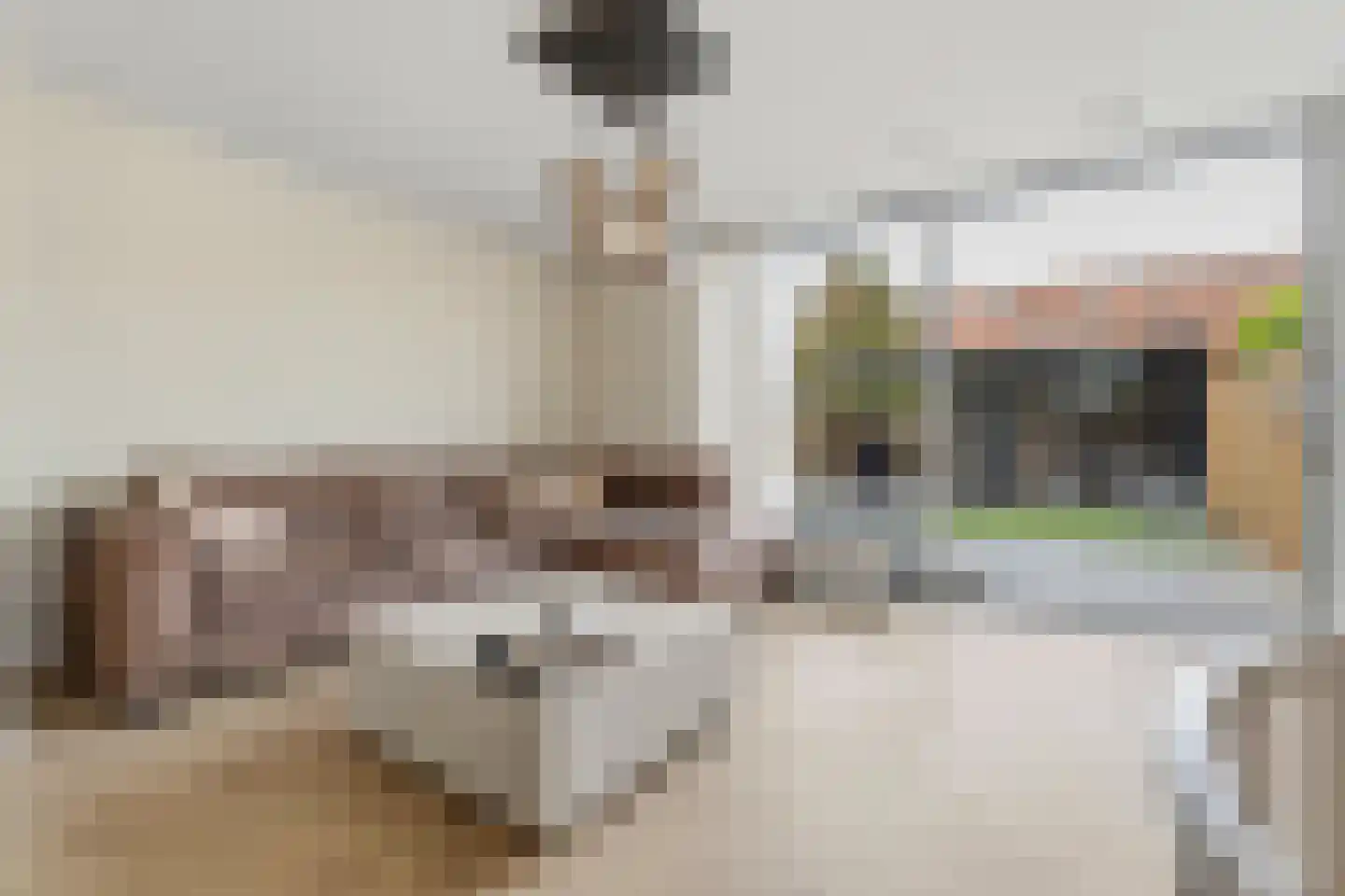 Cor Spaanslaan 66 Den Haag thumbnail 9