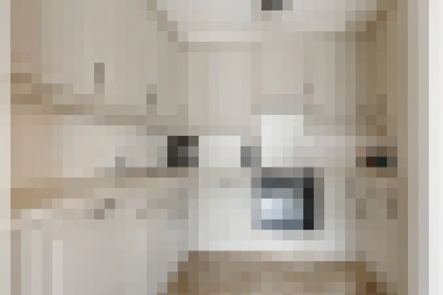 Cor van Osnabruggelaan 11 Voorschoten thumbnail 15