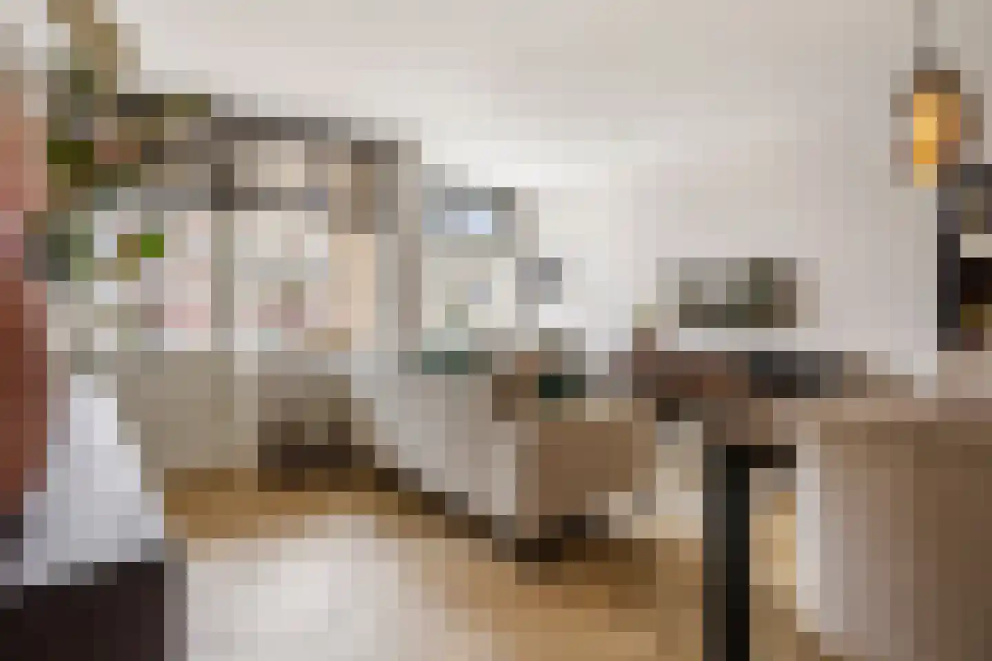 Cor van Osnabruggelaan 11 Voorschoten thumbnail 4