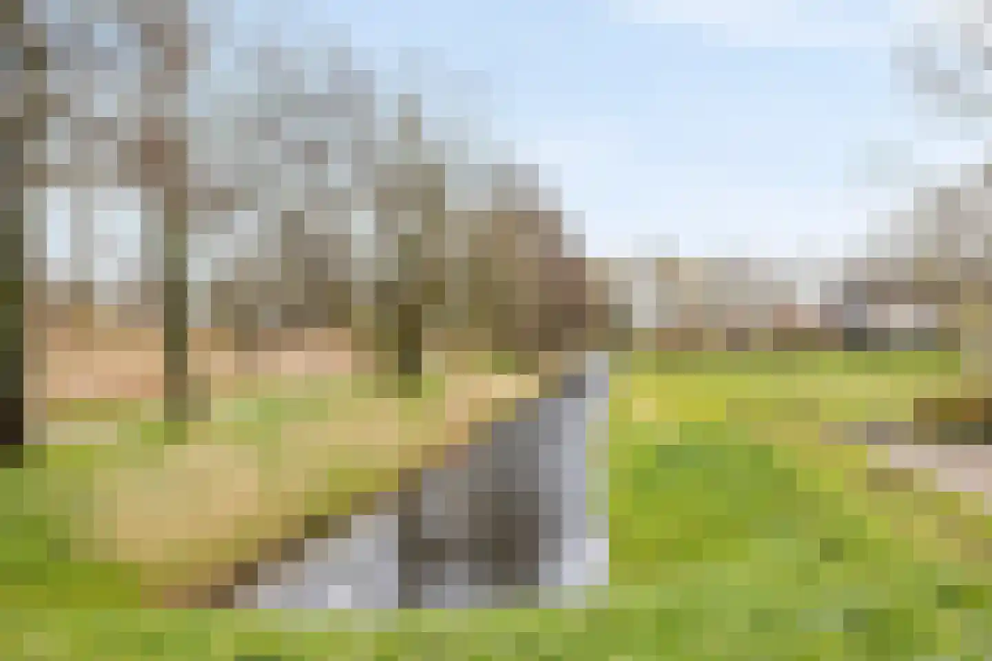 Cor van Osnabruggelaan 11 Voorschoten thumbnail 40