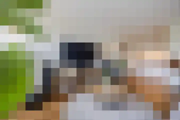 Cor van Osnabruggelaan 19 Voorschoten thumbnail 11