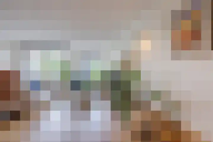 Cor van Osnabruggelaan 19 Voorschoten thumbnail 15