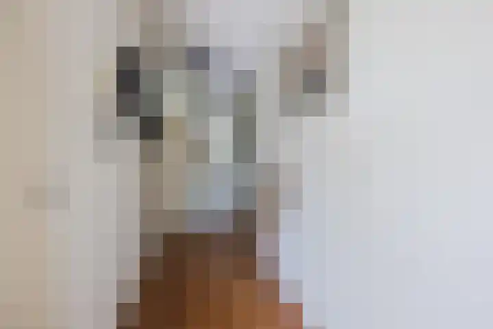 Cor van Osnabruggelaan 19 Voorschoten thumbnail 16
