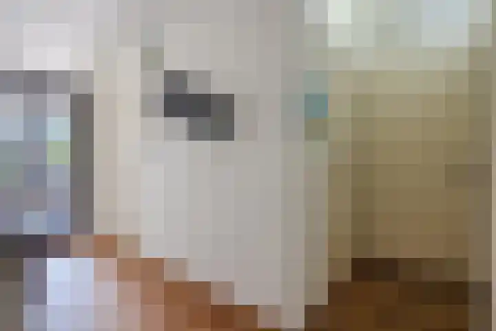 Cor van Osnabruggelaan 19 Voorschoten thumbnail 17