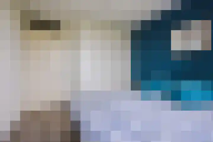 Cor van Osnabruggelaan 19 Voorschoten thumbnail 20