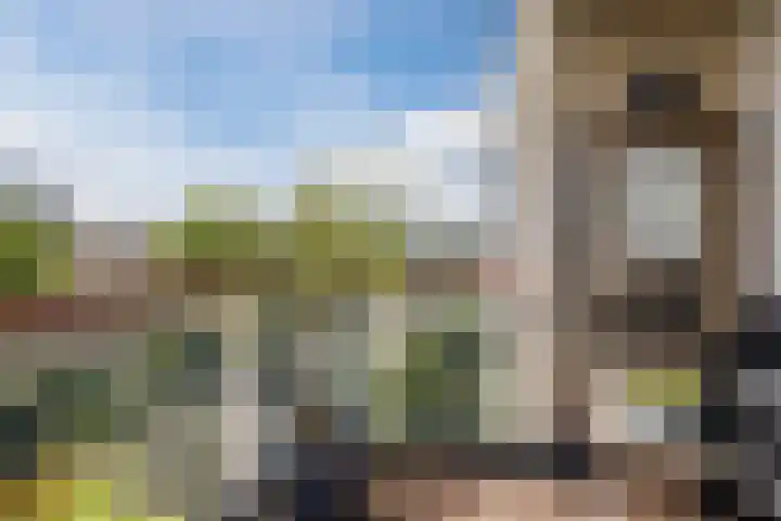 Cor van Osnabruggelaan 19 Voorschoten thumbnail 26