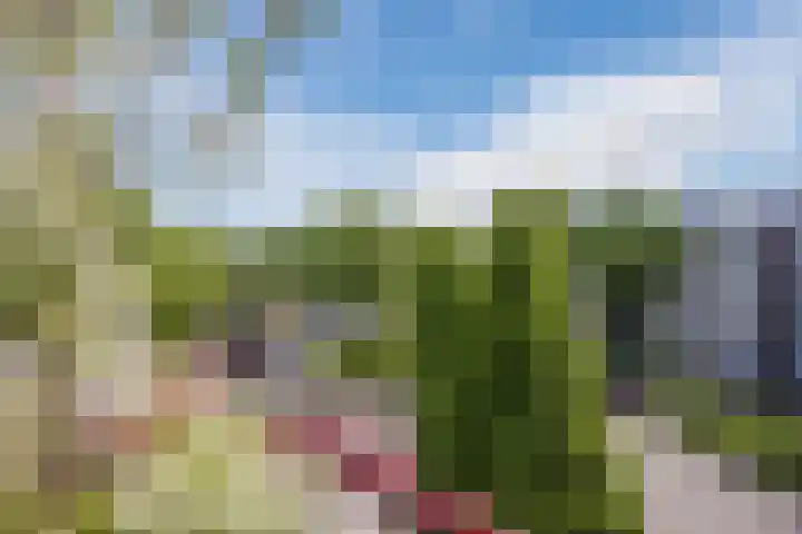 Cor van Osnabruggelaan 19 Voorschoten thumbnail 28
