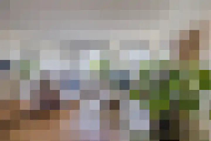 Cor van Osnabruggelaan 19 Voorschoten thumbnail 8