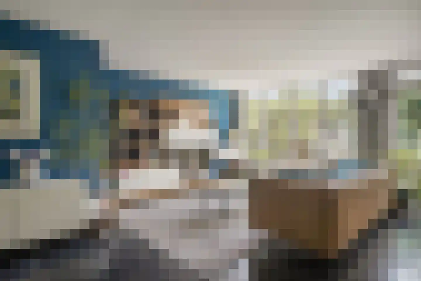 Cor van Osnabruggelaan 30 Voorschoten thumbnail 12