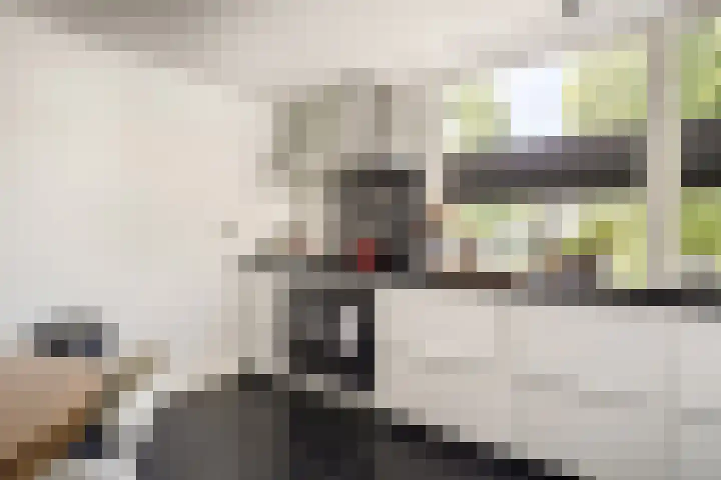 Cor van Osnabruggelaan 30 Voorschoten thumbnail 19