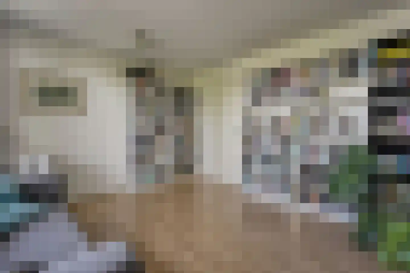 Cor van Osnabruggelaan 30 Voorschoten thumbnail 28