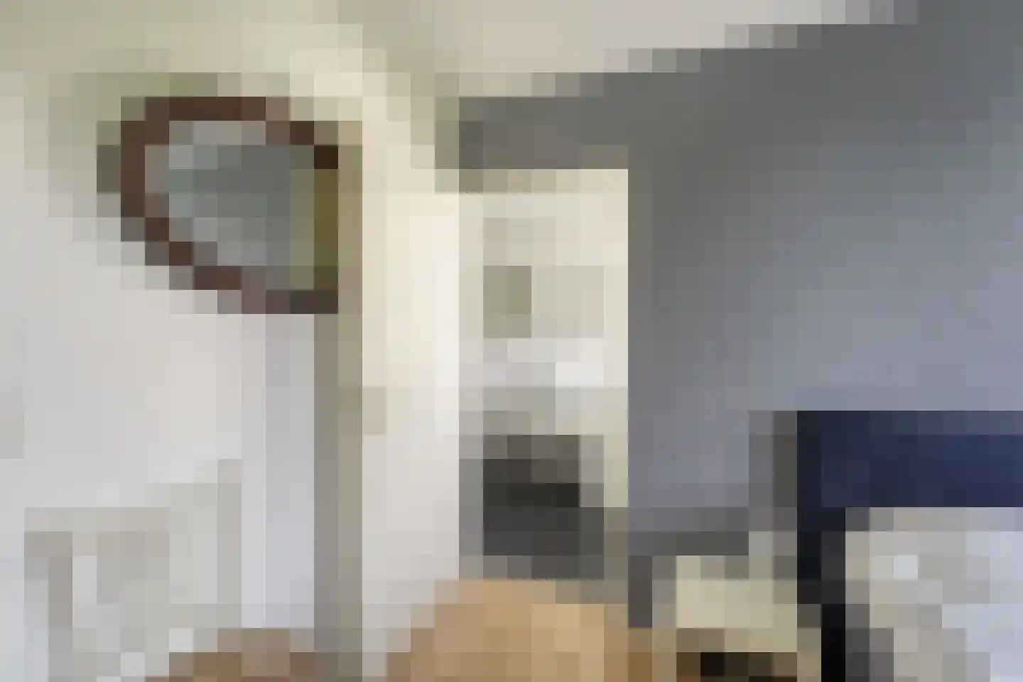 Cor van Osnabruggelaan 30 Voorschoten thumbnail 36