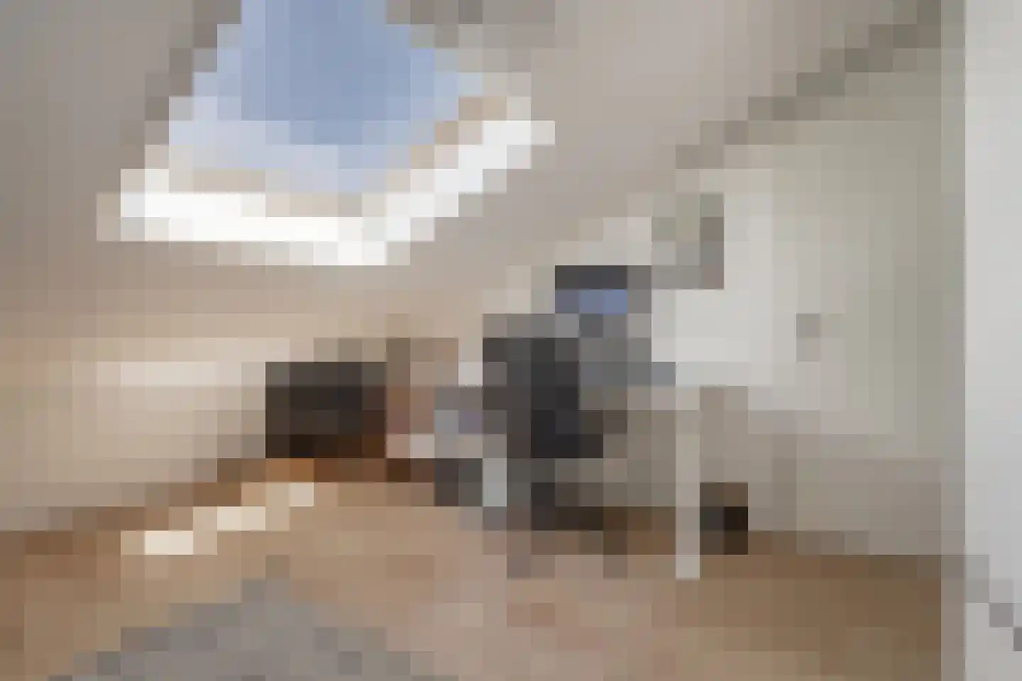 Cor van Osnabruggelaan 30 Voorschoten thumbnail 46
