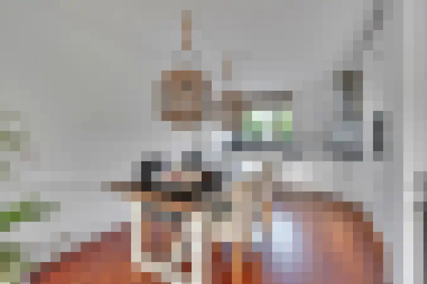 Cor van Osnabruggelaan 47 Voorschoten thumbnail 4