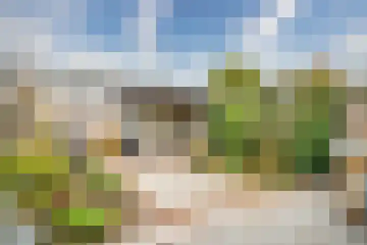 Cor van Osnabruggelaan 67 Voorschoten thumbnail 22