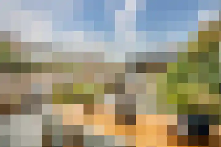Cor van Osnabruggelaan 67 Voorschoten thumbnail 24