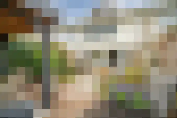 Cor van Osnabruggelaan 67 Voorschoten thumbnail 31