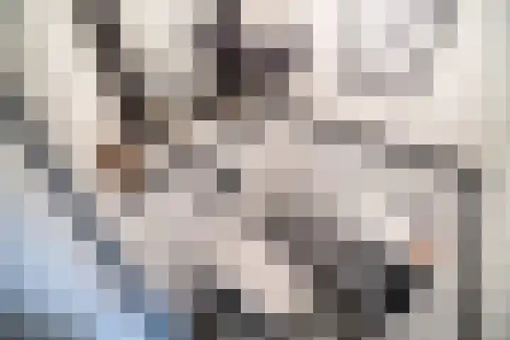 Cor van Osnabruggelaan 67 Voorschoten thumbnail 34