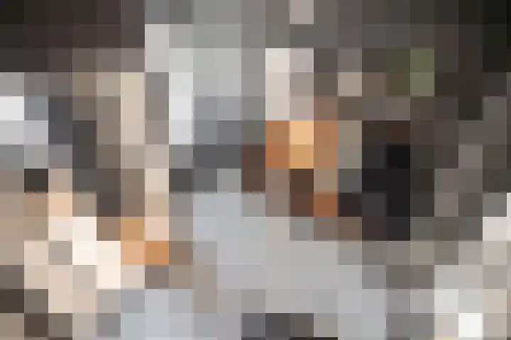 Cor van Osnabruggelaan 67 Voorschoten thumbnail 35