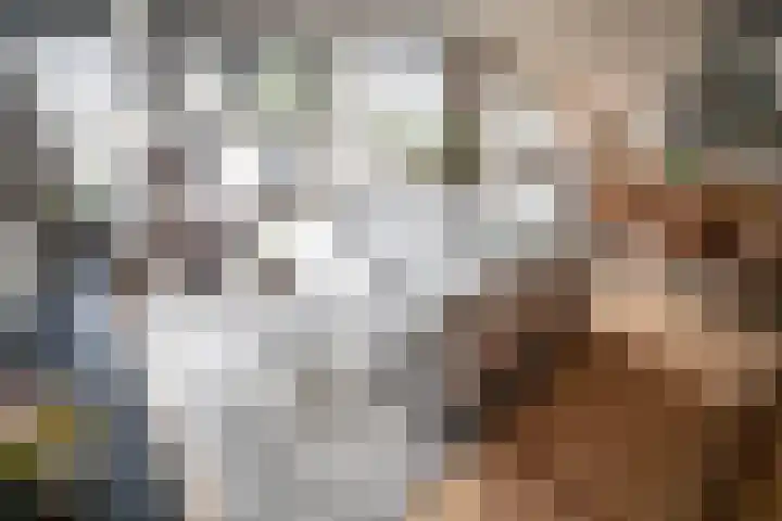 Cor van Osnabruggelaan 67 Voorschoten thumbnail 4
