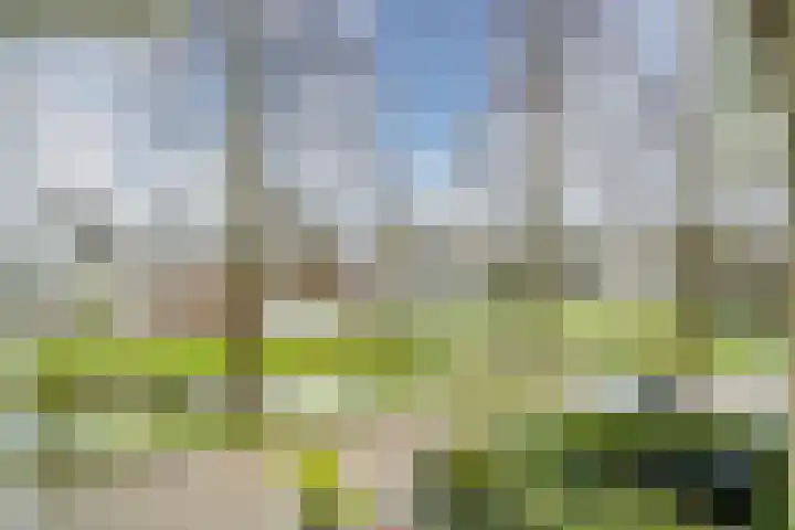 Cor van Osnabruggelaan 67 Voorschoten thumbnail 43