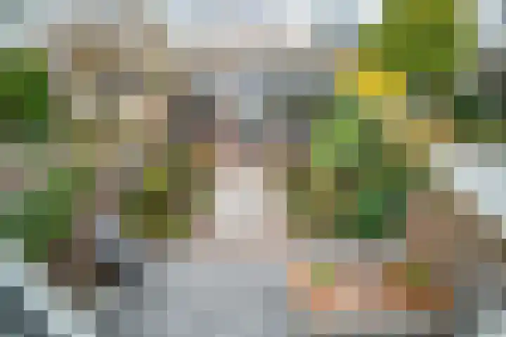 Cor van Osnabruggelaan 67 Voorschoten thumbnail 63