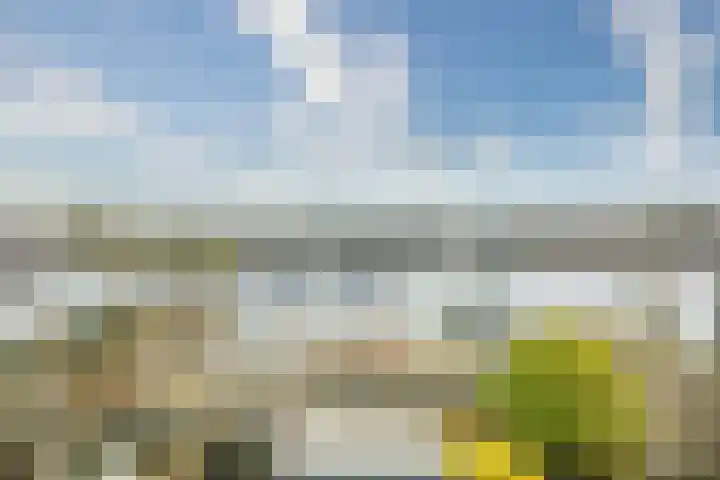 Cor van Osnabruggelaan 67 Voorschoten thumbnail 64