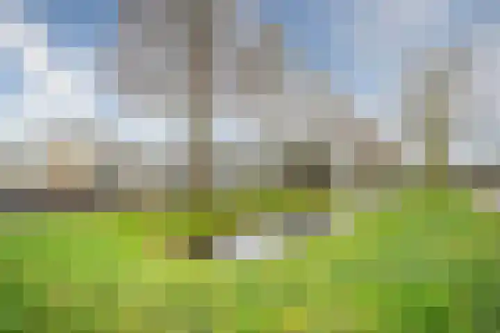Cor van Osnabruggelaan 67 Voorschoten thumbnail 66