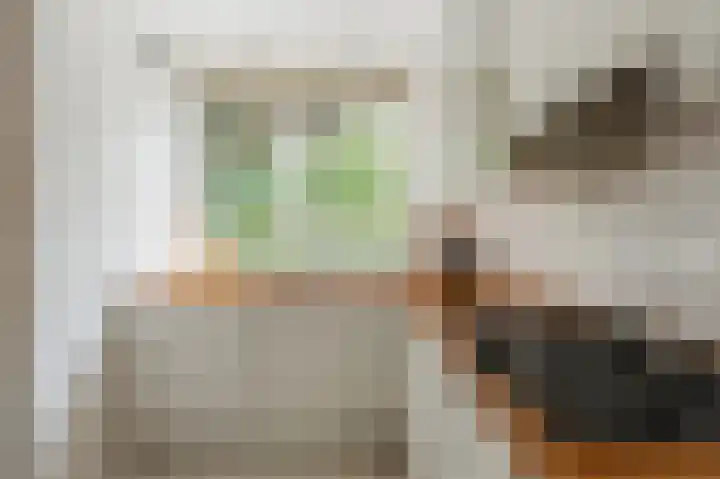 Cor van Osnabruggelaan 88 Voorschoten thumbnail 12