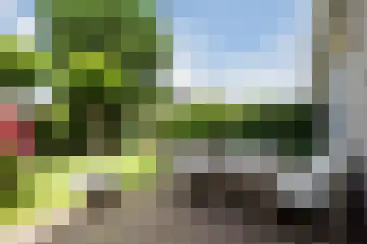 Cor van Osnabruggelaan 88 Voorschoten thumbnail 35