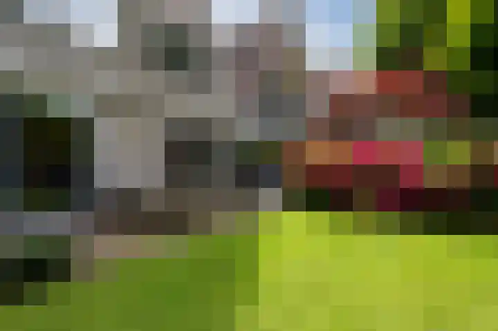Cor van Osnabruggelaan 88 Voorschoten thumbnail 36