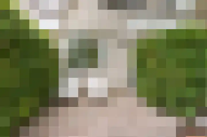 Cor van Osnabruggelaan 88 Voorschoten thumbnail 4