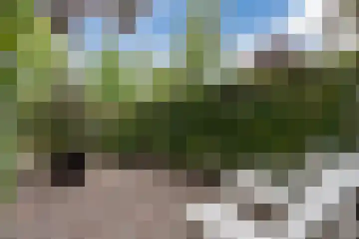 Cor van Osnabruggelaan 88 Voorschoten thumbnail 6