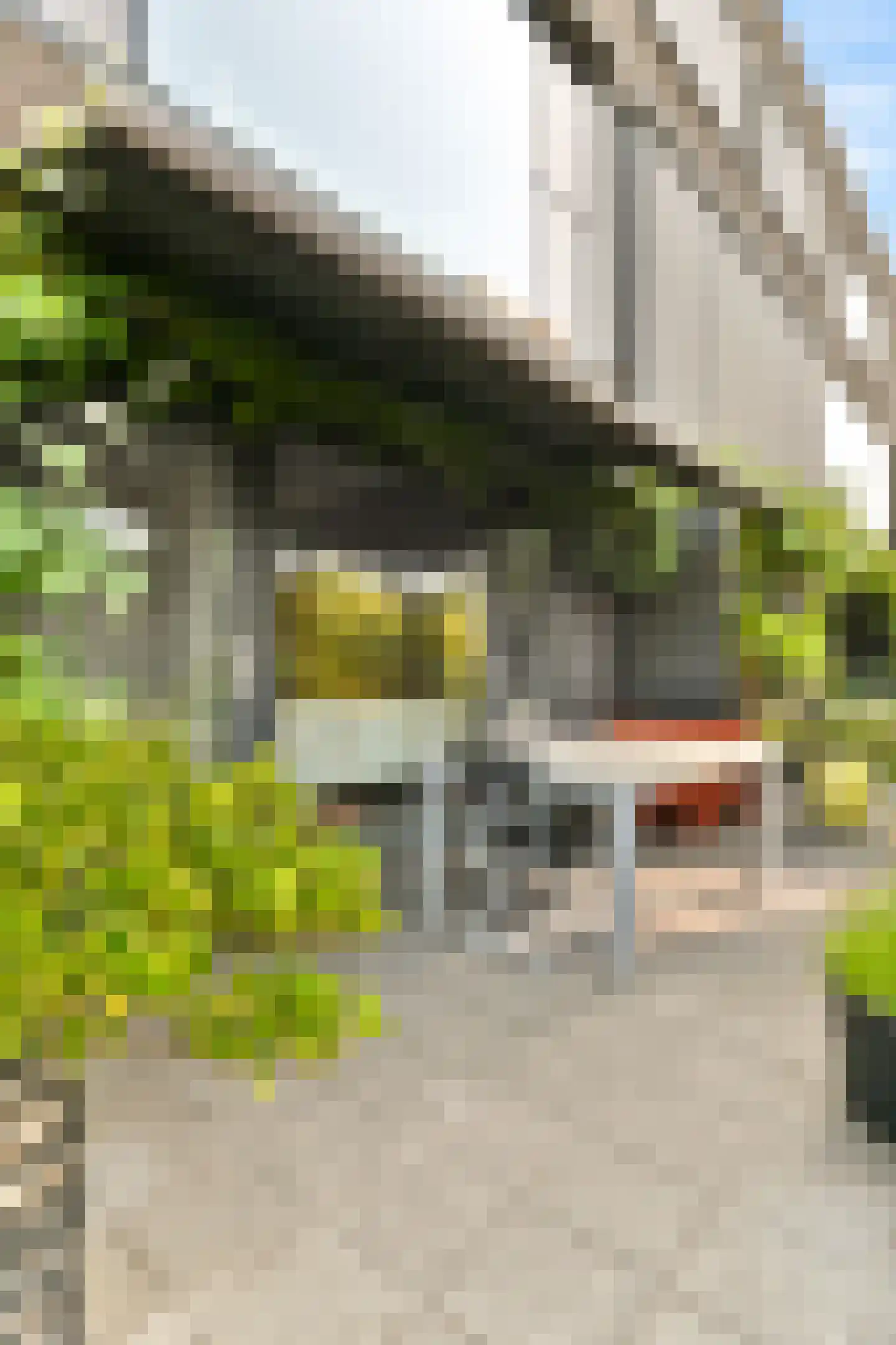 Cor van Weelehof 15 Amsterdam thumbnail 11