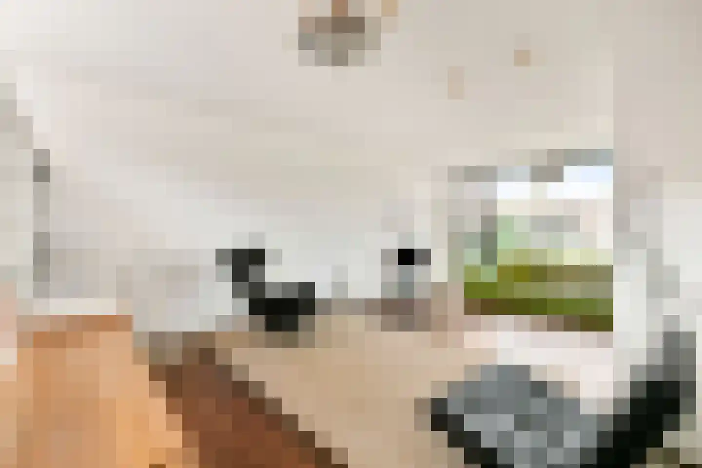 Cor van Weelehof 15 Amsterdam thumbnail 14