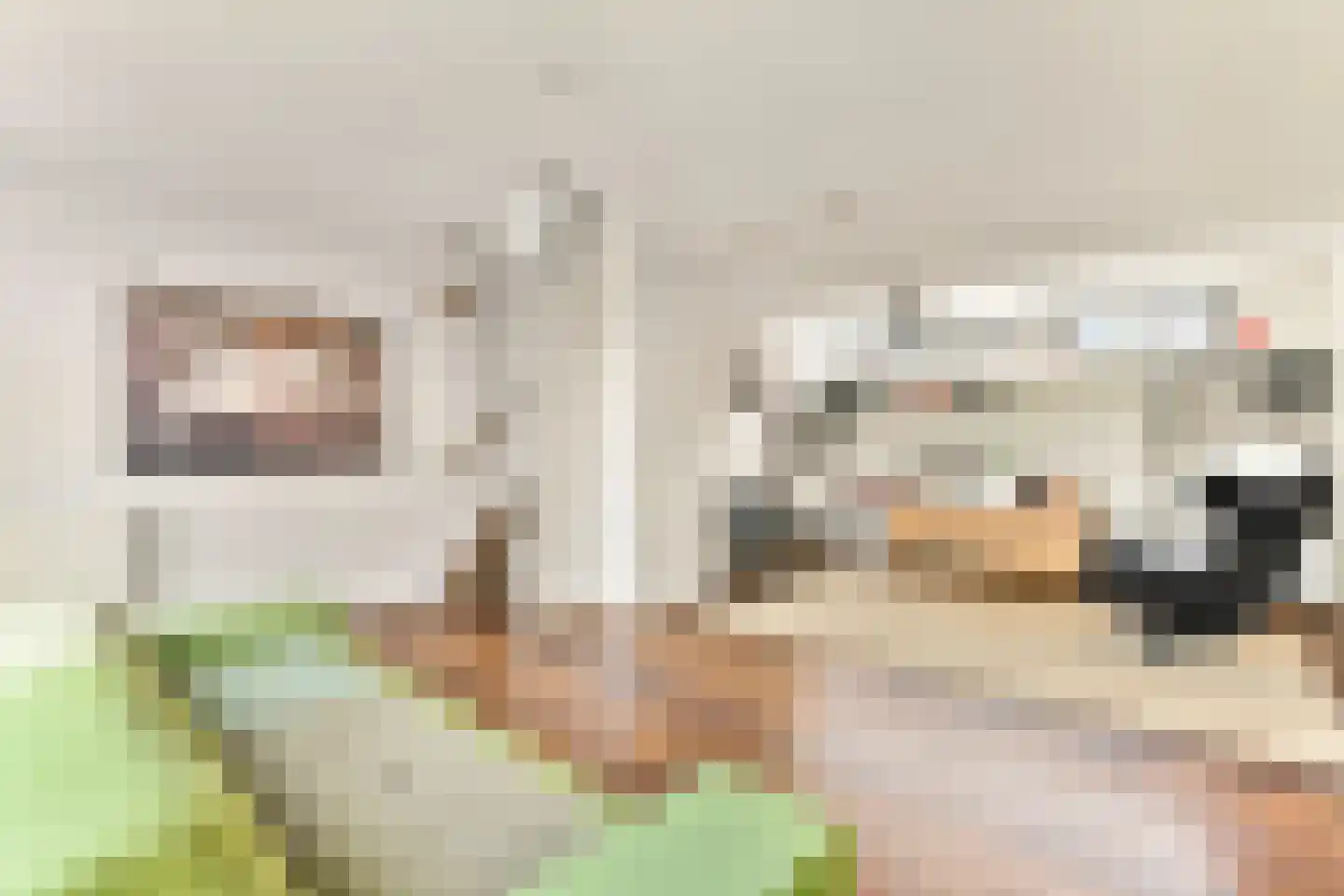 Cor van Weelehof 15 Amsterdam thumbnail 15