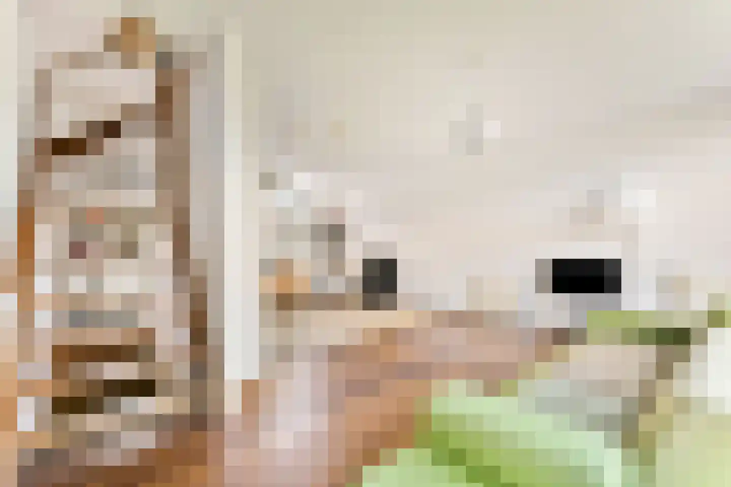 Cor van Weelehof 15 Amsterdam thumbnail 16