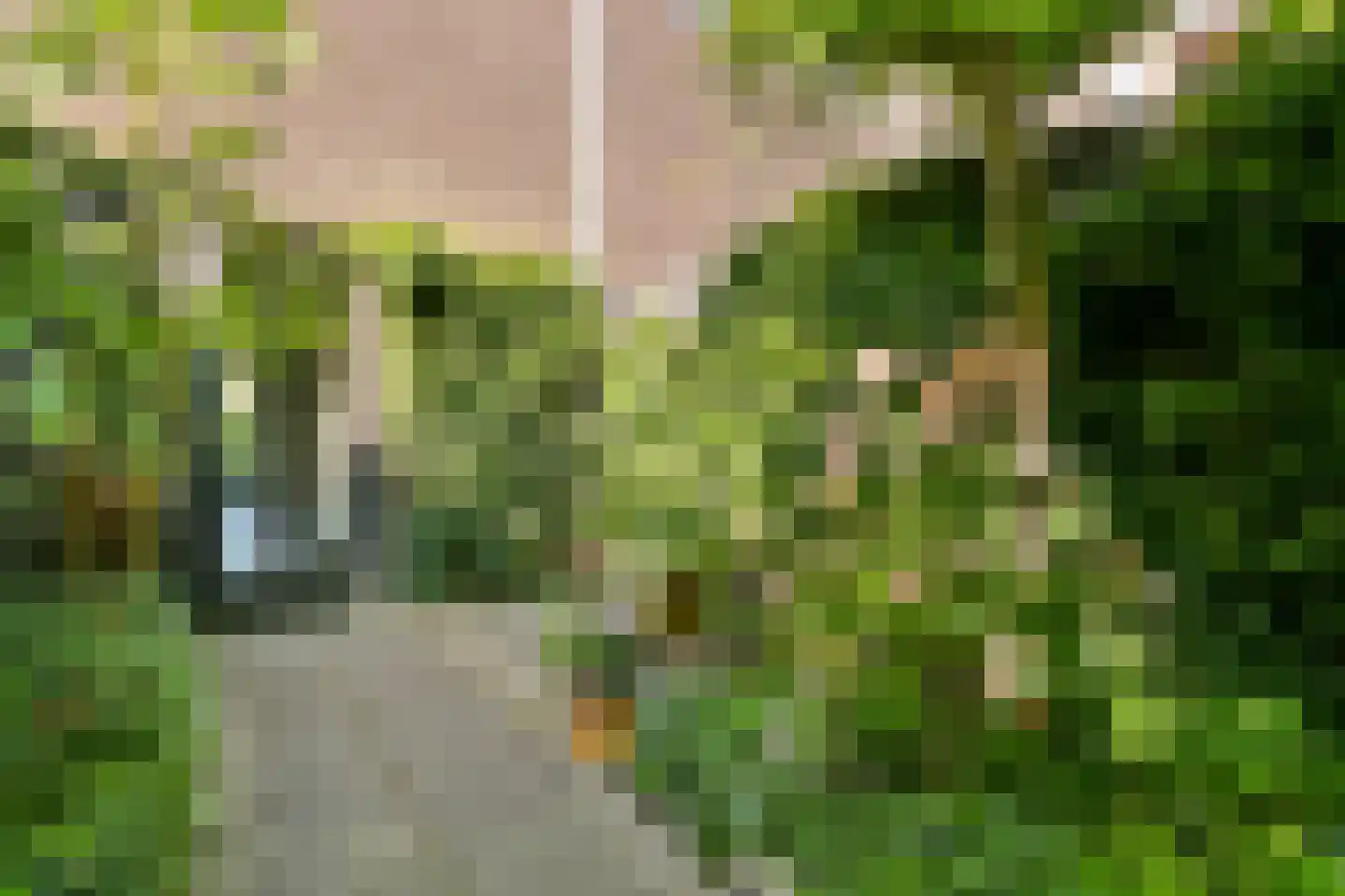 Cor van Weelehof 15 Amsterdam thumbnail 25