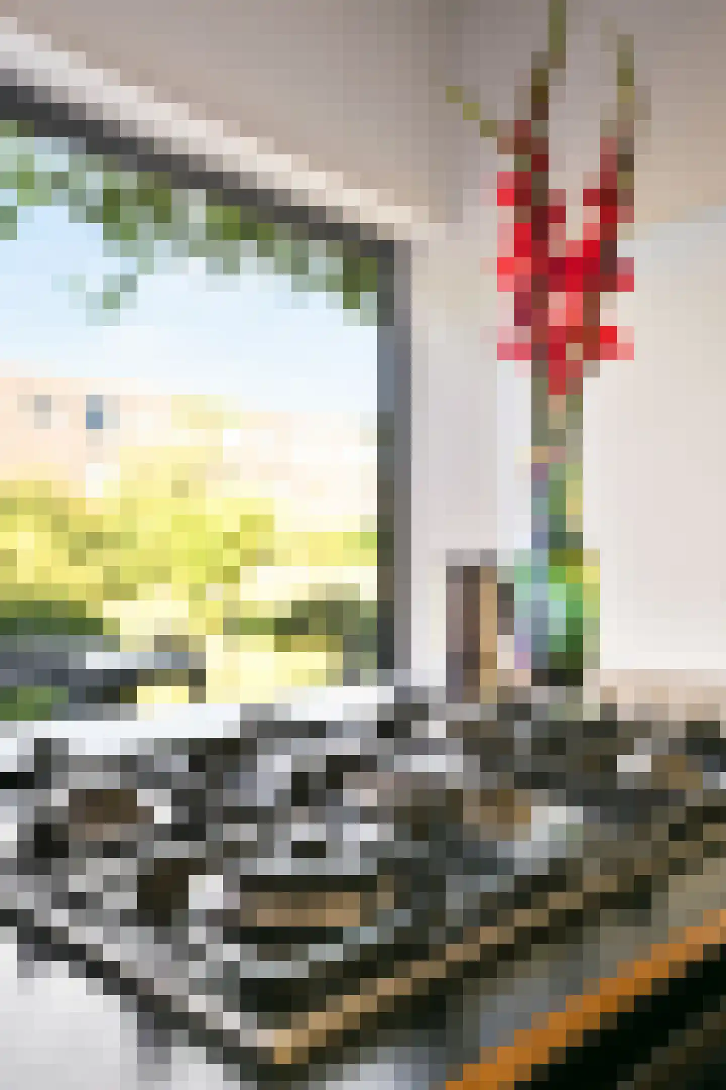 Cor van Weelehof 15 Amsterdam thumbnail 8