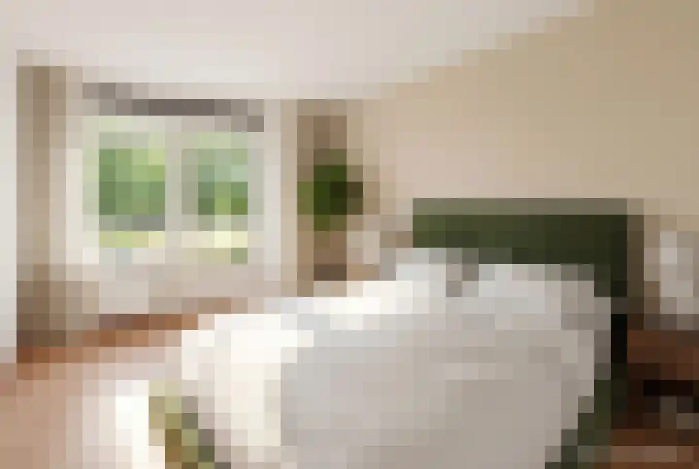 Cor Vlotlaan 25 Utrecht thumbnail 14