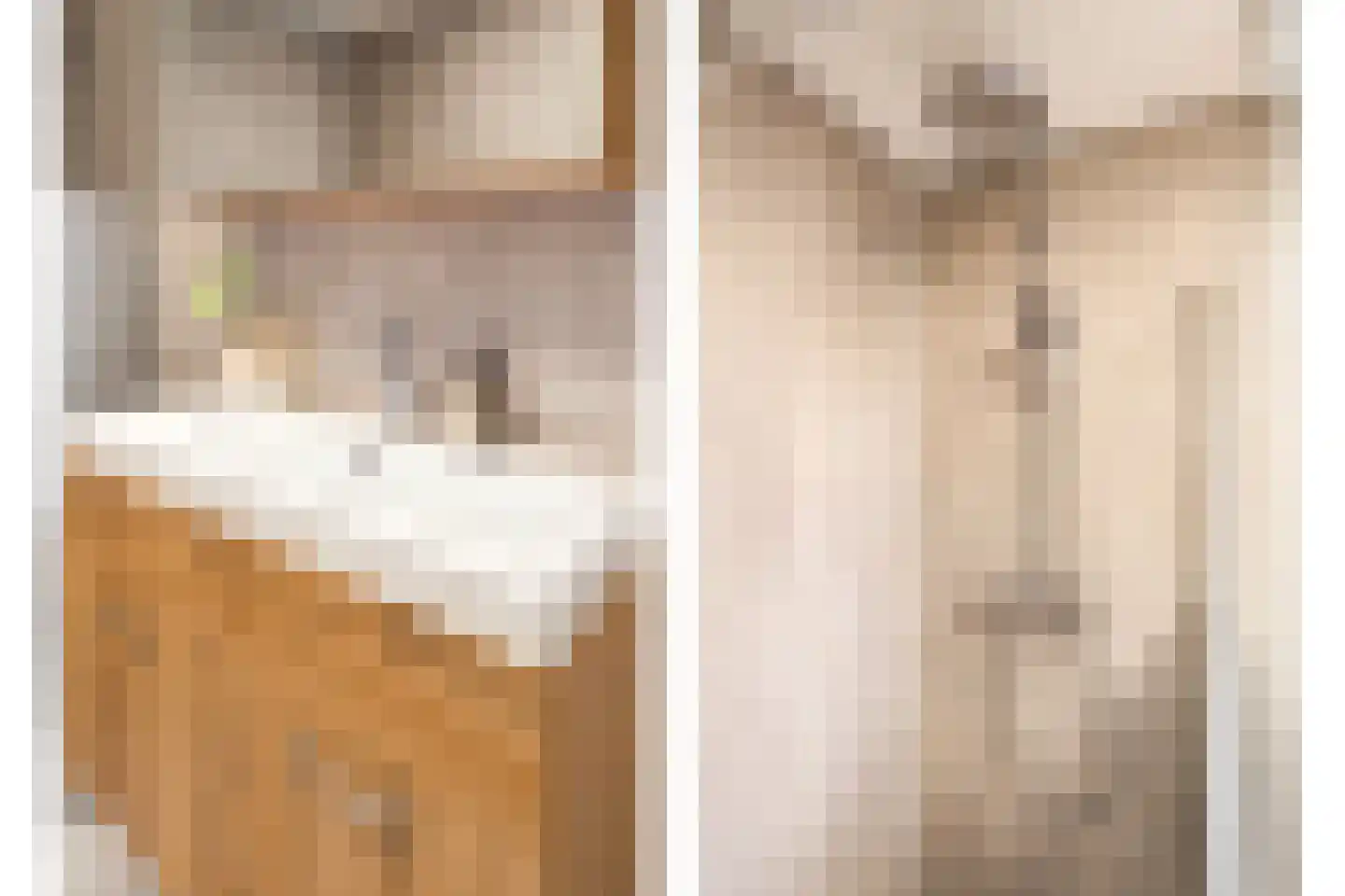 Cor Vlotlaan 25 Utrecht thumbnail 24