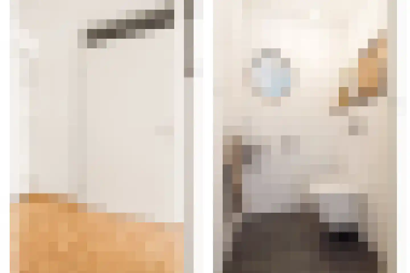 Cor Vlotlaan 25 Utrecht thumbnail 28