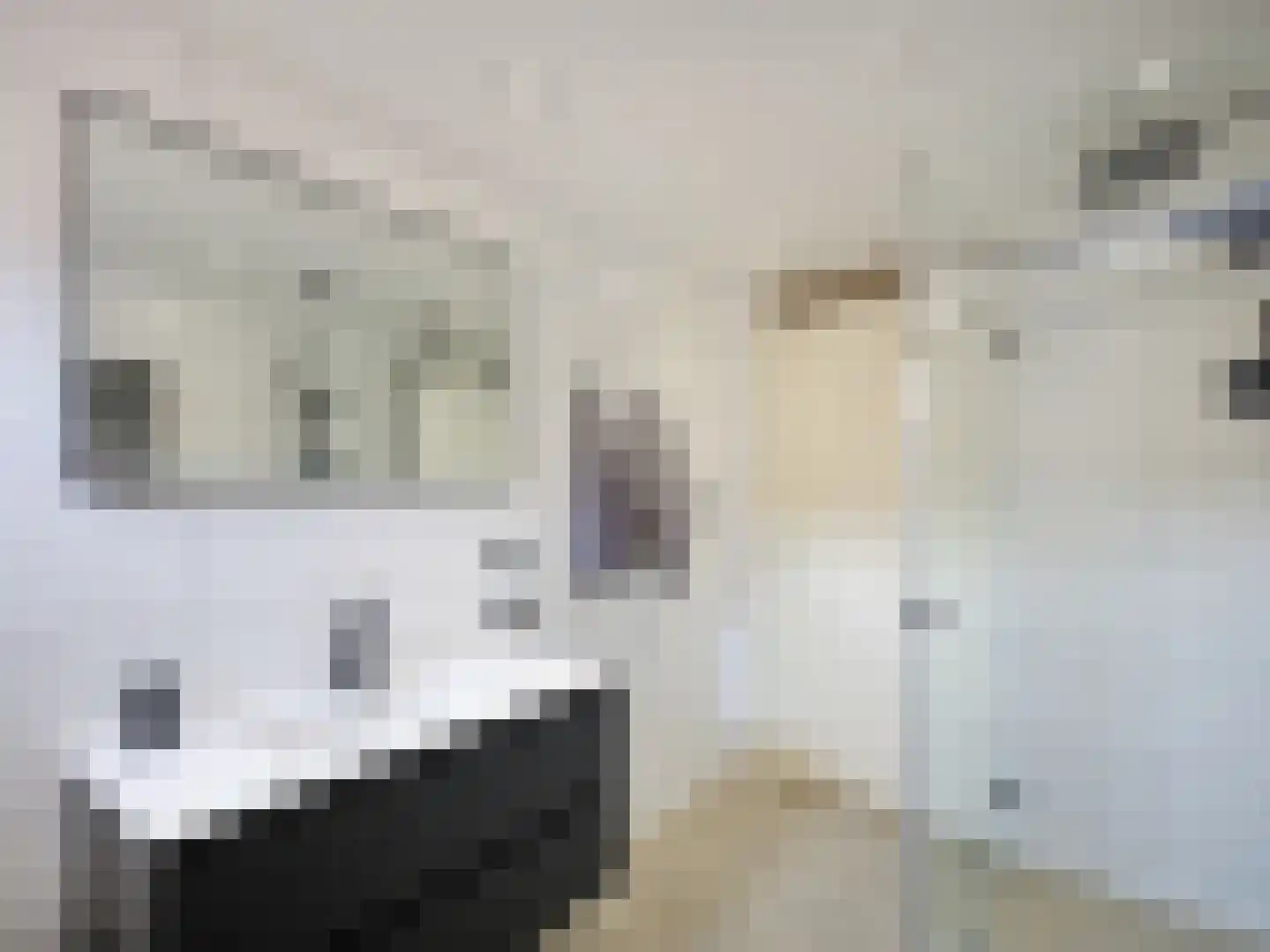 Cor Vlotlaan 33 Utrecht thumbnail 19