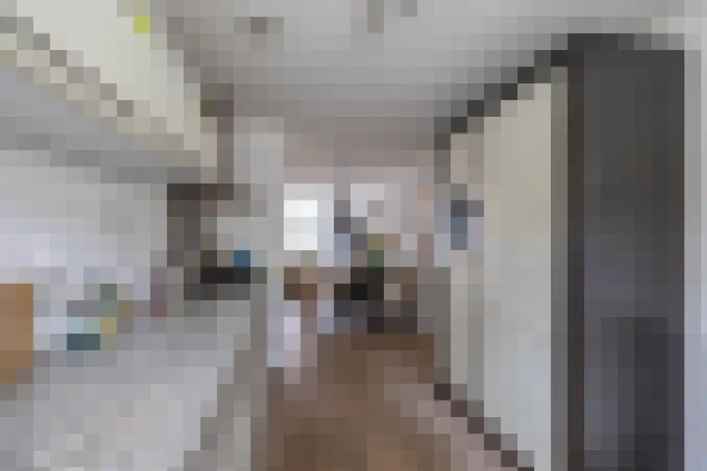 Coranthijnestraat 10 Groningen thumbnail 17