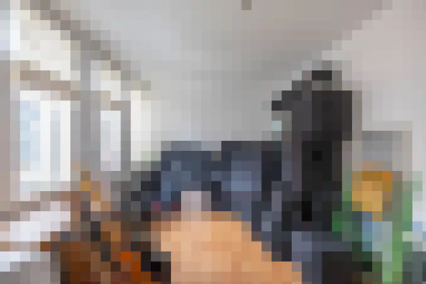 Coranthijnestraat 10 Groningen thumbnail 31
